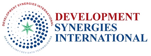 DSI Logo